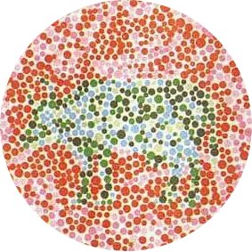 ishihara kleurenblinde testplaat nummer 1