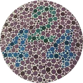 ishihara colour blind test plate number 6