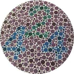 ishihara color blind test plate number 6