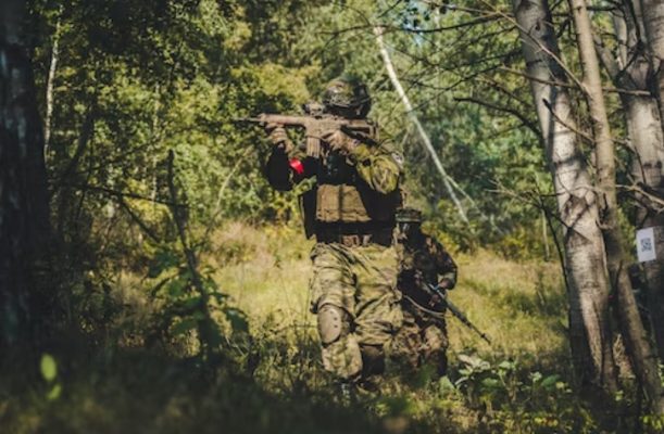 Στρατηγικές αχρωματοψίας στη μάχη